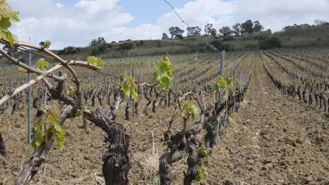 Fattoria Manostalla Chiarelli Farm stay Balestrate