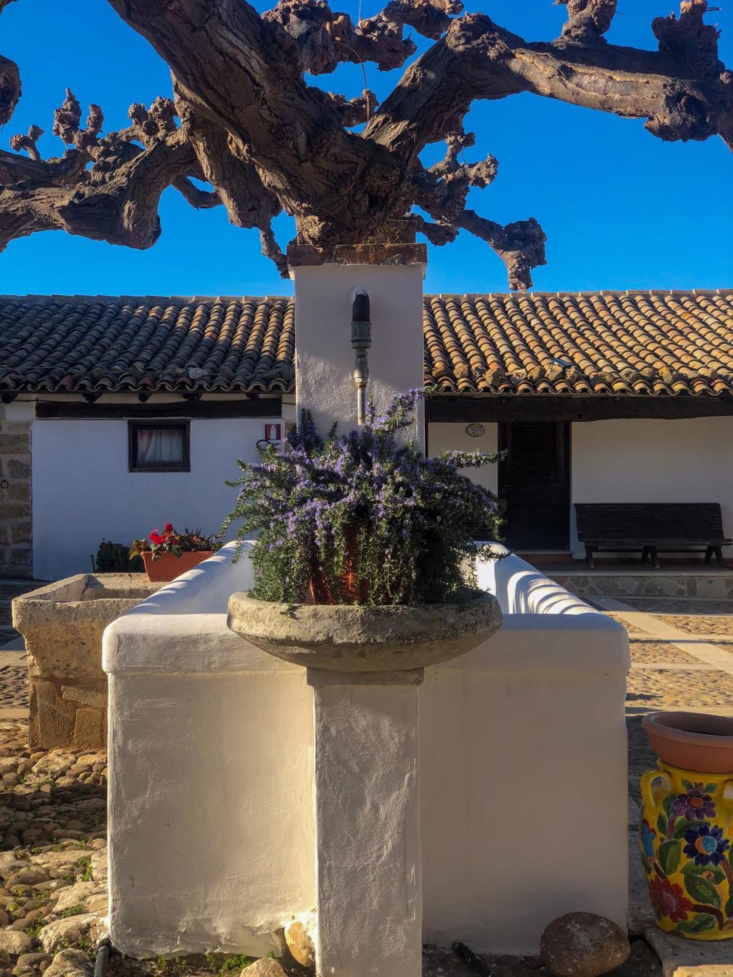 Alojamento de Turismo Rural Fattoria Manostalla Chiarelli *