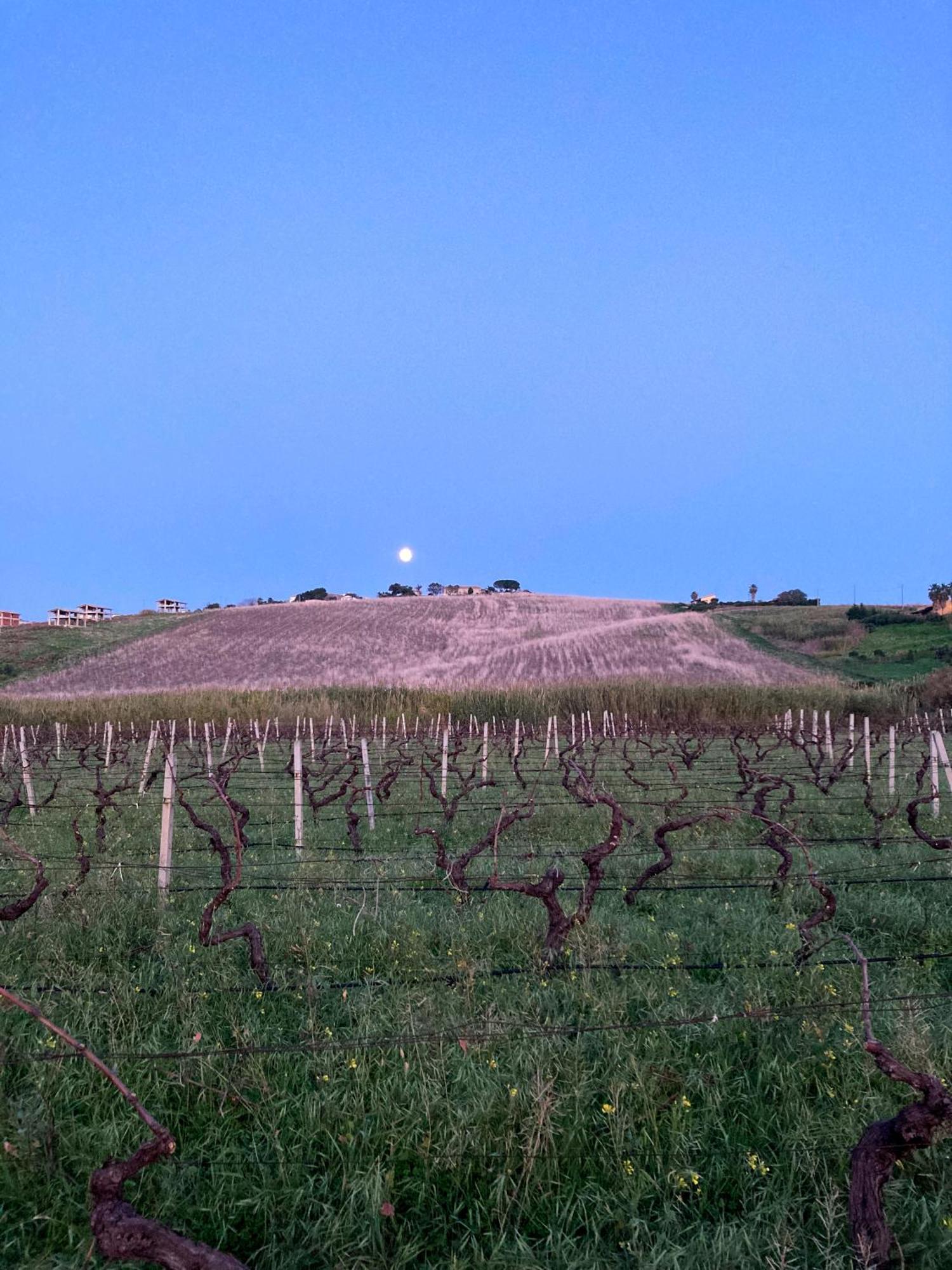 Farm stay Fattoria Manostalla Chiarelli *