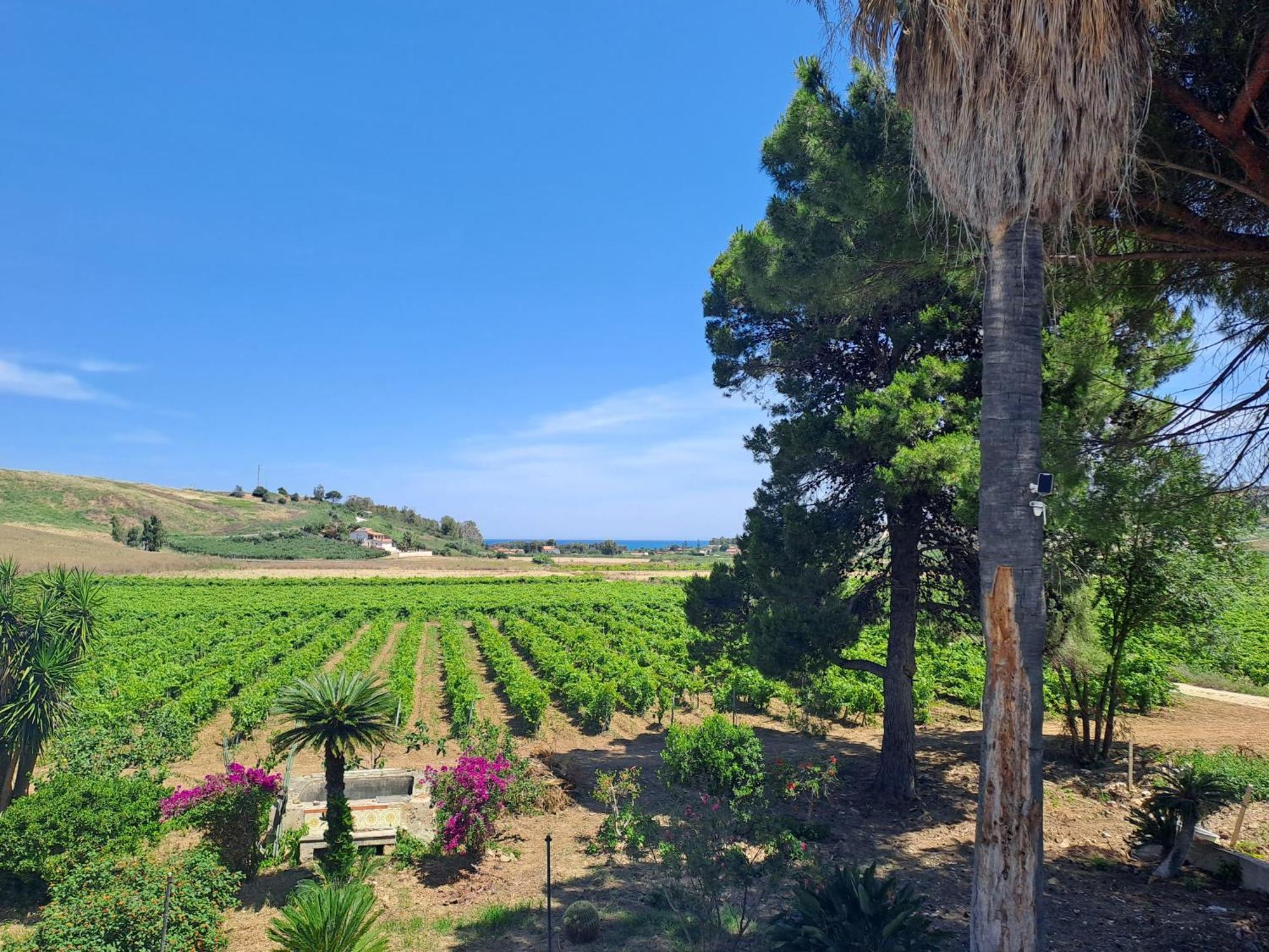 Farm stay Fattoria Manostalla Chiarelli